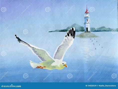 Watercolor Seagulls Royalty Free Stock Images - Image: 34020539