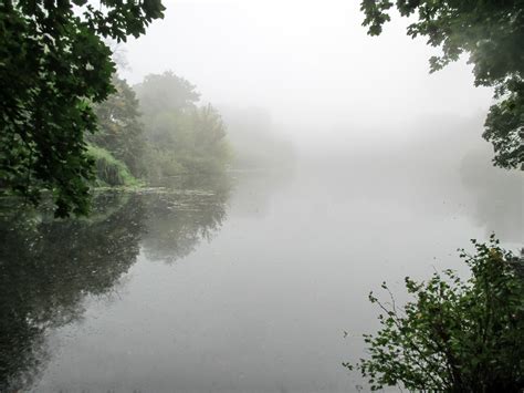 foggy autumn lake 2 Free Photo Download | FreeImages