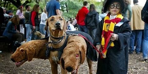 7 Gambar Imut dan Lucu Ketika Anak-Anak Sedang Memakai Kostum Halloween ~ Fakta Unik Seru dan ...