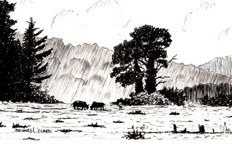 How to Draw a Meadow Scene in Pen and Ink — Online Art Lessons