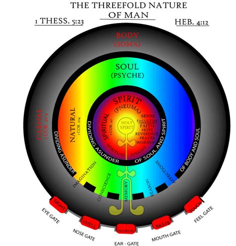 nature of man - Heart, Mind, Soul and Spirit - Christianity Stack Exchange