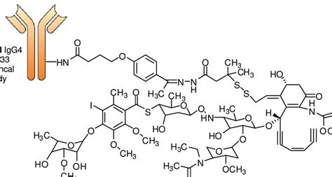 7 Structure of gemtuzumab ozogamicin (Mylotarg). The potent DNA ...