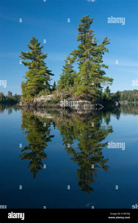 Lake, boreal forest and island of Canadian Shield rock in Quetico Provincial Park, Ontario ...