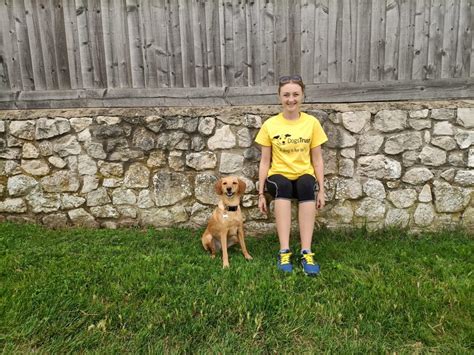 Dogs Trust Bridgend and Dogs Trust Cardiff asks supporters to ‘Sit and Stay’ to raise money for ...