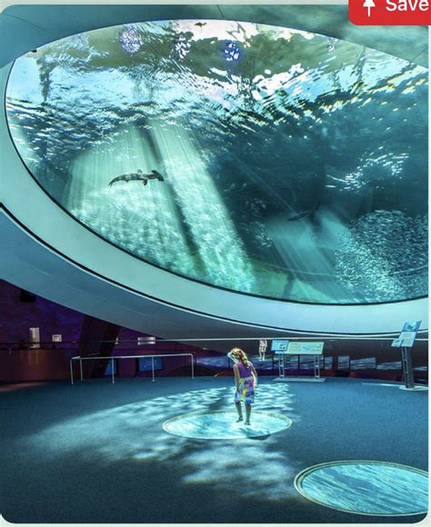 Best 11 Insider’s guide to the Oregon Coast Aquarium in Newport with ...