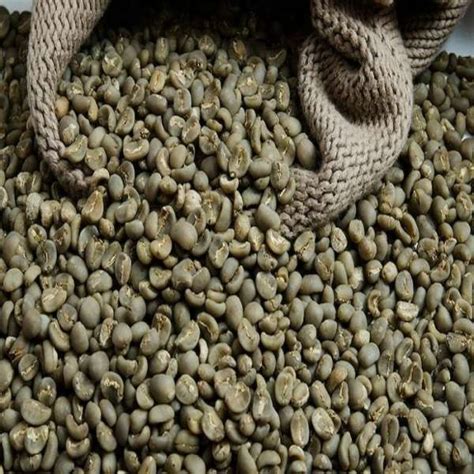 Liberica Coffee Beans Manufacturers | Liberica Coffee Beans Suppliers - Eworldtrade.com