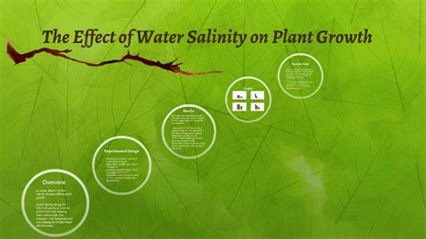 The Effect of Water Salinity on Plant Growth by Emily Cerf on Prezi