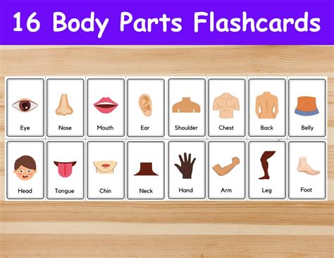 16 Body Parts Flashcards / Image Cards for Kids, Preschoolers. Nomenclature Cards. Printable ...