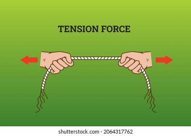 Elasticity Rope Tension Force Vector Stock Vector (Royalty Free) 2064317762 | Shutterstock