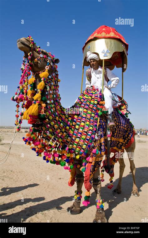 Camel with traditional decoration. Jaisalmer Desert festival. Rajasthan ...