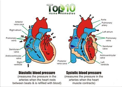 Home Remedies for High Blood Pressure | Top 10 Home Remedies