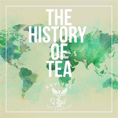 The History of Tea – Revival Tea Company