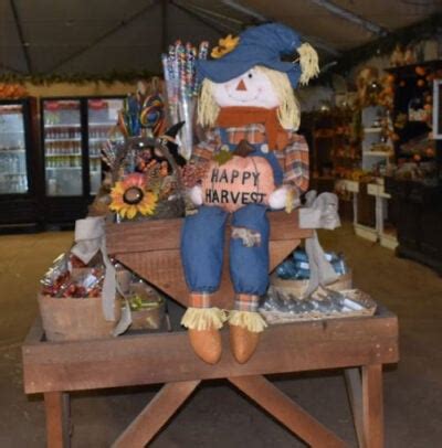 General Store | Live Oak Canyon Pumpkin Patch & Christmas Tree Farm, Redlands CA – Pumpkin Patch ...