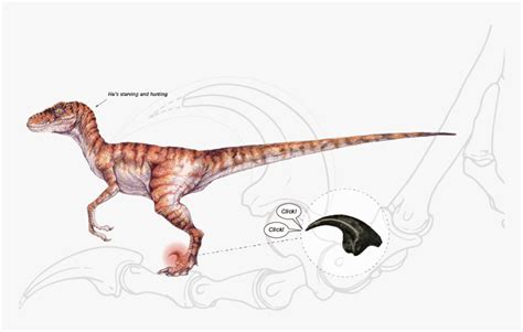 Velociraptor Jurassic Park Concept Art, HD Png Download , Transparent Png Image - PNGitem