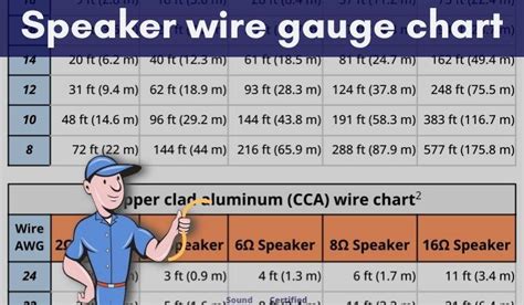 Buy,speaker wire max length,Exclusive Deals and Offers,admin.gahar.gov.eg