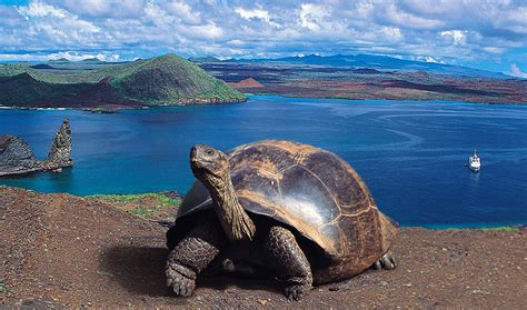 Galapagos Island - Ecuador