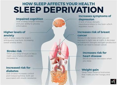 HOW MUCH SLEEP YOU NEED? WHAT INADEQUATE SLEEP DOES TO YOUR BRAIN ...