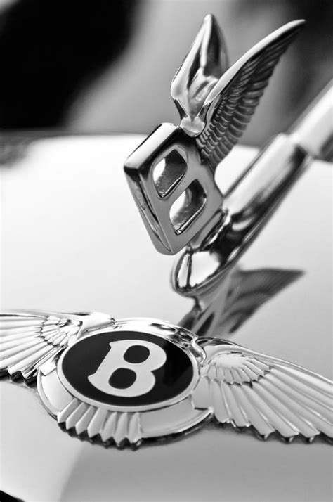 Bentley Hood Ornament Photograph by Jill Reger - Fine Art America