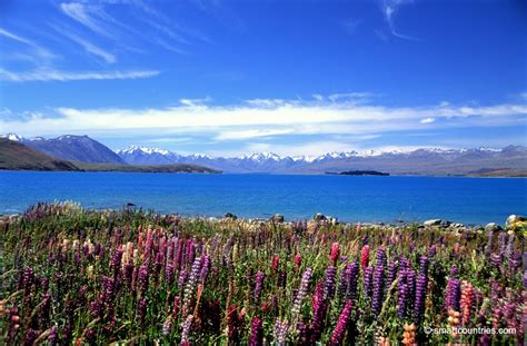 Lake Tekapo & Lupins - Geographic Media