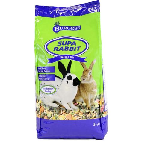 Rabbit Care Guide: Understanding the Best Rabbit Food