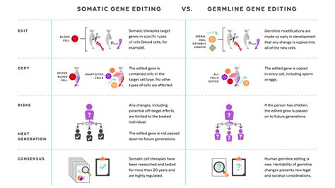 Harvard researchers share views on future, ethics of gene editing — Harvard Gazette