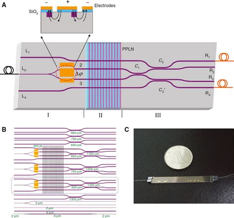 The photonic chip for generating and manipulating entangled... | Download Scientific Diagram