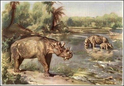 Uintatherium - Buscar con Google | Prehistoric art, Prehistoric creatures, Prehistoric