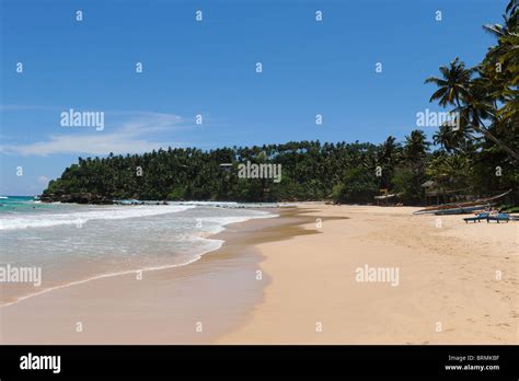 mirissa beach Stock Photo - Alamy