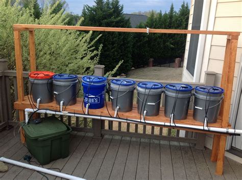 Dutch Bucket System without plants | Hydroponics diy, Hydroponics, Hydroponic farming