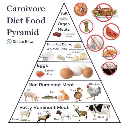 Carnivore diet food list what to eat on the carnivore diet – Artofit