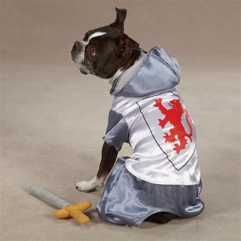 Medieval Knight Dog Halloween Costume | BaxterBoo