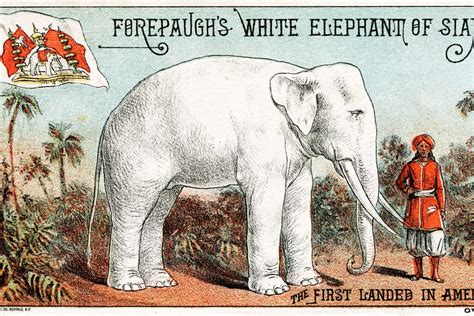 Why Do We Say White Elephant? Origin, Meaning, Useless Gift | HistoryExtra