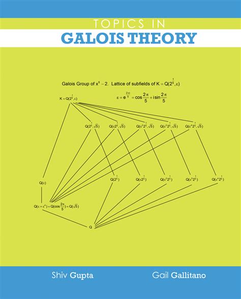 Topics in Galois Theory | Higher Education