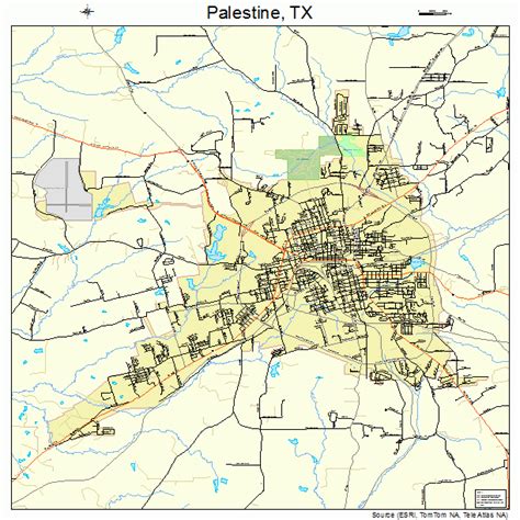 palestine is freedom: Palestine Texas Street Map 4854708