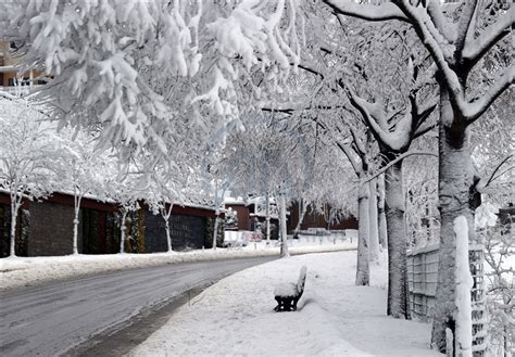 Snowy and cold weather in Istanbul - Anadolu Ajansı