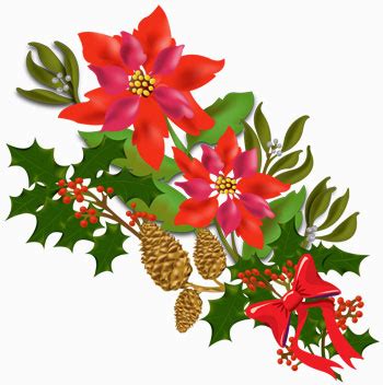 Free Christmas Flower Png, Download Free Christmas Flower Png png images, Free ClipArts on ...