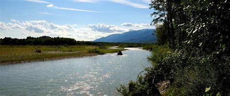 Percorso tra natura e storia lungo il fiume Piave - Ecobnb