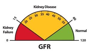 Chronic Kidney Disease Tests & Diagnosis - NIDDK