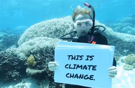 How climate change impacts the Great Barrier Reef tourism industry | New Scientist