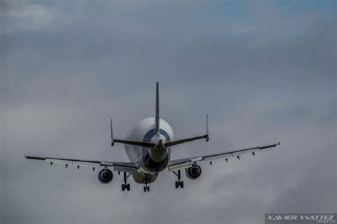 Airbus Beluga | Fighter jets, Airbus, Beluga