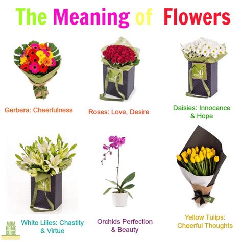 The Meaning of Giving Flowers