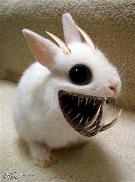 Creepy Cool Stuff Dump 5 | Creepy animals, Funny animal pictures ...