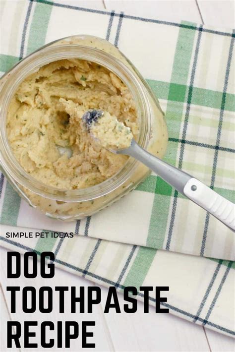 Homemade Dog Toothpaste Your Dog Will Like - Other People's Pets