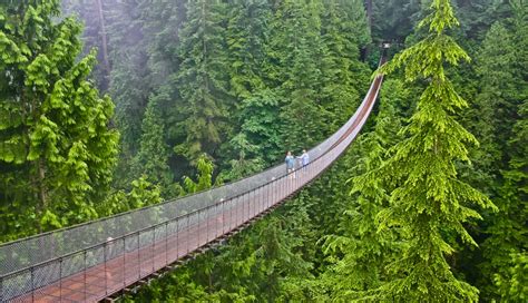 Capilano Suspension Bridge Vancouver - Lhermitage Blogs