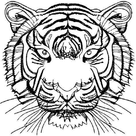 Tiger Malvorlage · Creative Fabrica