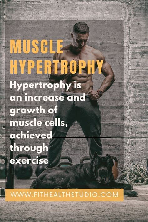 Muscle Hypertrophy