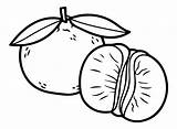 Grapefruit Coloring Pages Printable For Free Download sketch template