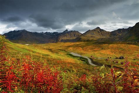 Alaskan Mountains And Tundra In Autumn Photograph by Adria Photography ...