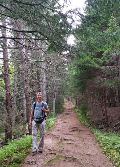 Hiking in Canada: Fundy National Park, New Brunswick | The Seeker, Magi Nams