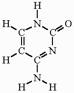 Cytosine Formula & Structure